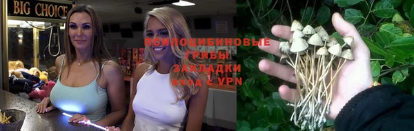 спайс Горняк
