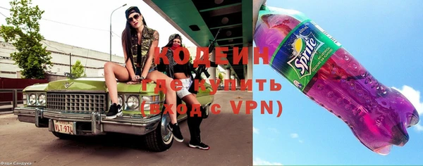 эйфоретик Гусь-Хрустальный