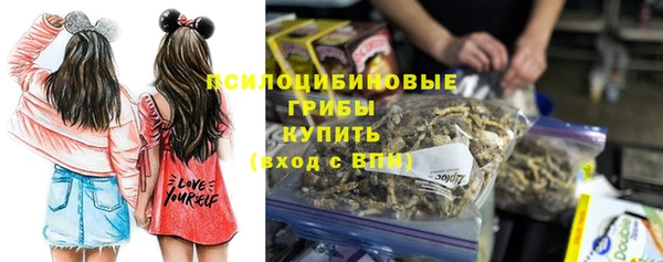 дурь Горнозаводск