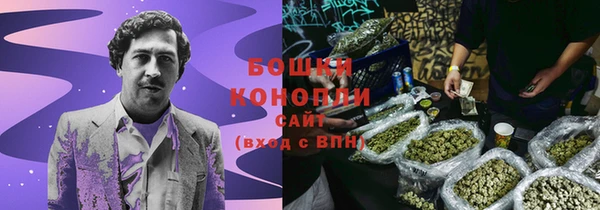дурь Горнозаводск