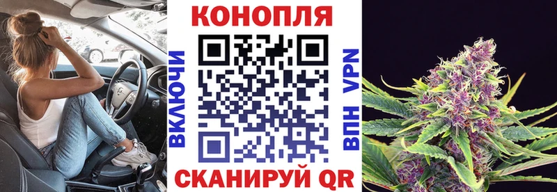 кракен зеркало  Мезень  Конопля Ganja 